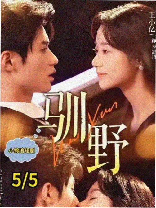 信号 神马影院电视剧免费观看